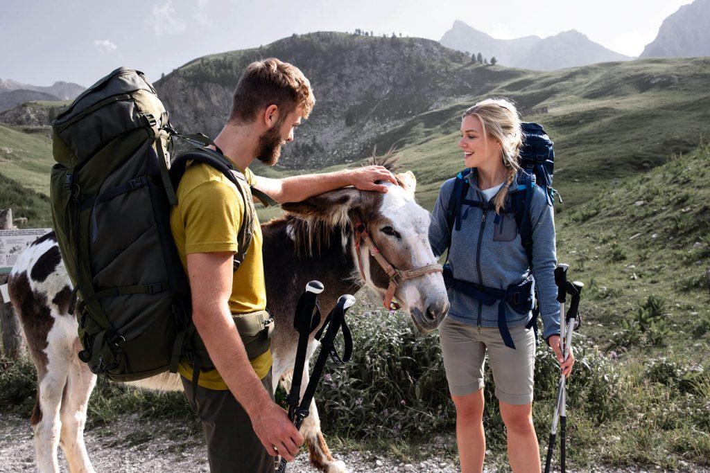 Hardshell oder Softshell 3 Eine Softshell-Jacke ist leicht, atmungsaktiv, winddicht und warm.