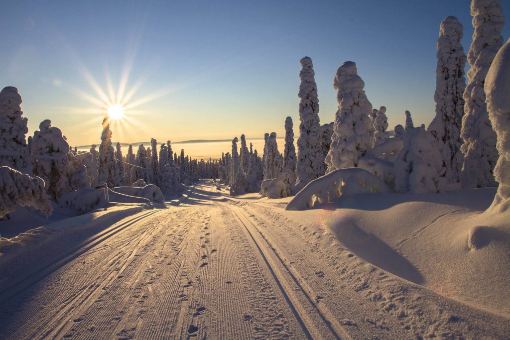 Cross-Country Skiing: Classic, Skating and Nordic Cruising