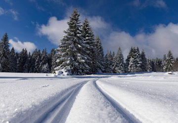 The Different Types of Cross-Country Skiing 12 Cross-country skiing styles - prepared trail.