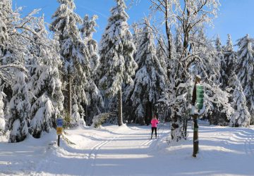 Die besten Langlaufstrecken im Bayerischen Wald 2 Die besten Langlaufstrecken im Bayerischen Wald. Foto: Mario Liebherr, pixabay.