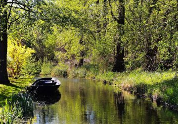 Paddeln im Spreewald 14 Paddeln im Spreewald. Boot am Ufer der Spree.
