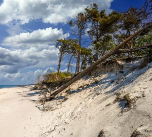 Naturcamping an der Ostsee 4 Baltic Sea nature campsites are picturesque and often located directly behind the dunes.