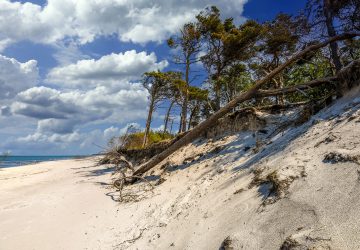 Naturcamping an der Ostsee 6 Baltic Sea nature campsites are picturesque and often located directly behind the dunes.