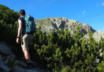Tourentipp: Wanderung auf den Daniel (2.340 m) 14 Wanderung auf den Daniel - Blick zum Gipfelkreuz.