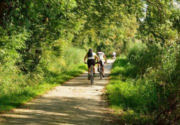 Radwandern in Bayern 14 Radwandern in Bayern – 3 Fernradwege für den Urlaub zuhause. Foto: Manfred Antranias Zimmer
