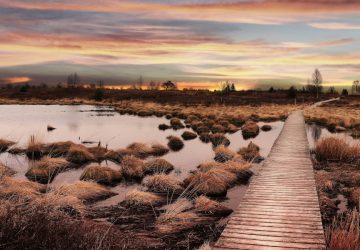 Naturpark Hohes Venn-Eifel: Zelten in der Wildnis 16 naturpark hohes venn eifel zelten titelbild
