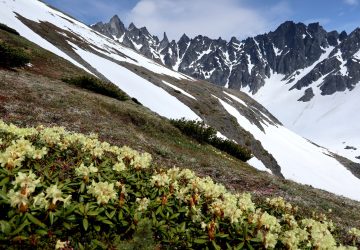 Altschneefelder queren 18 Altschneefelder in den Bergen