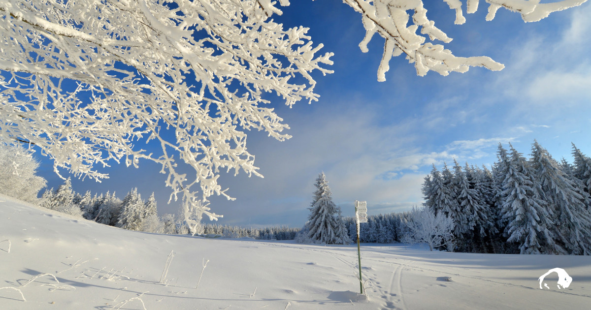 Kreuzberg RhönWandern im Winter Tatonka Blog