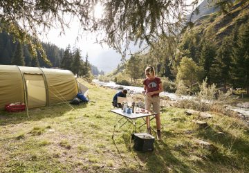 Wildtiere Verhalten bei Begegnung mit Wolf Wildschwein Baer 1