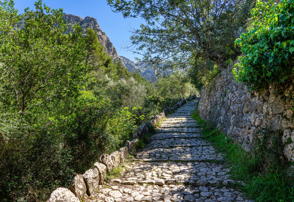 Europäische Fernwanderwege 3 Ein steiniger Pfad führt durch Biniaraix. Rechts vom Steinweg ist eine alte Mauer, während links Baumspitzen aus tieferliegender Landschaft emporragen.